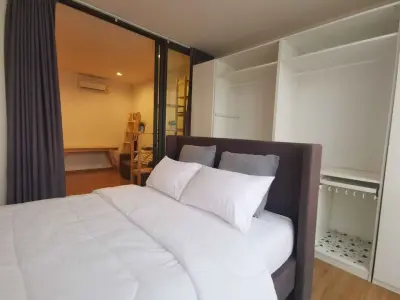 Hasu Haus